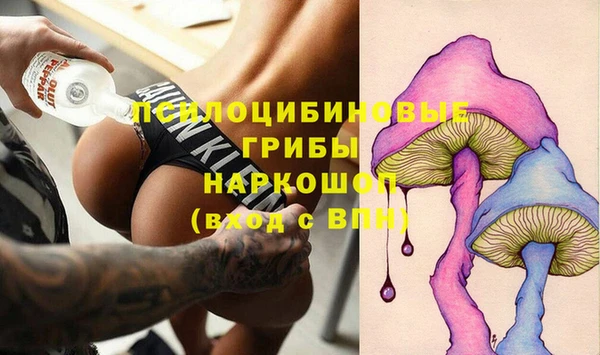 ГАЛЛЮЦИНОГЕННЫЕ ГРИБЫ Володарск