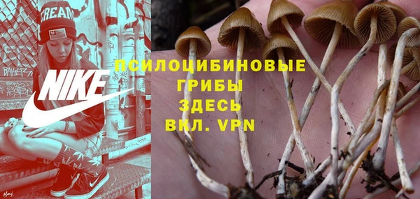 ECSTASY Волоколамск