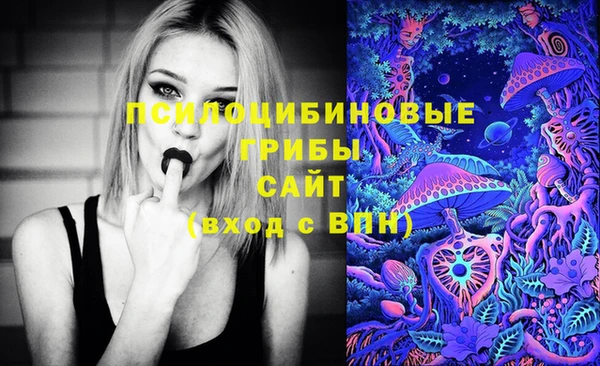 ГАЛЛЮЦИНОГЕННЫЕ ГРИБЫ Володарск