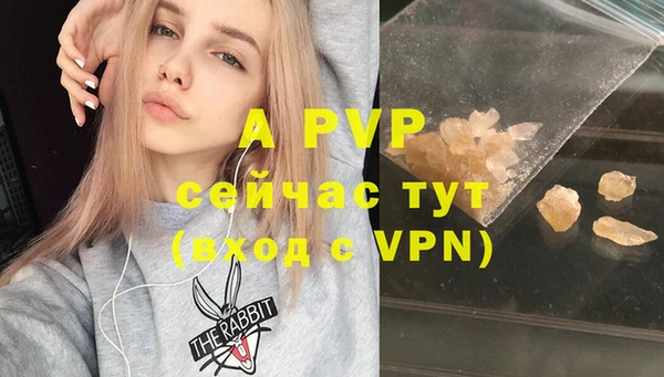 ECSTASY Волоколамск